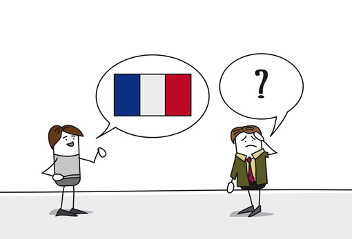 Remis le Rapport sur la diversité linguistique et la langue française en Europe