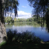 Laghetto di Monieux (ph. di Lodovico Marchisio Laghetto di Monieux (ph. di Lodovico Marchisio