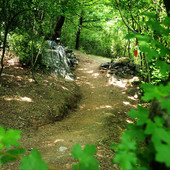Bosco delle meraviglie a Sant’Ambrogio di Torino: fiabe, natura e un messaggio d’amore