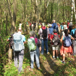 Il cammino sui luoghi della Resistenza tra la Certosa 1515 e la Sacra di San Michele