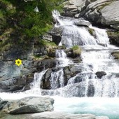 Cogne, recuperato il corpo della donna caduta nel torrente Valeille: decisiva una complessa operazione idraulica Sommario Cogne, recuperato il corpo della donna caduta nel torrente Valeille: decisiva una complessa operazione idraulica Sommario