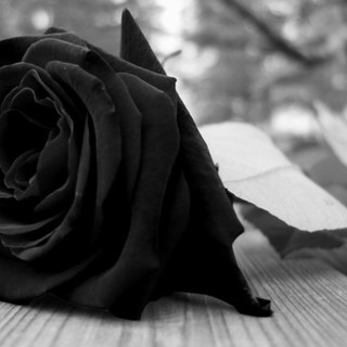 Domani ad Aosta l’ultimo saluto a Domenico Parisi