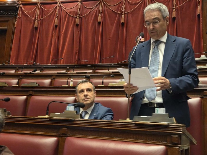 Franco Manes e Dieter Steger