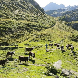 &quot;Montagna viva è risorsa per tutta Europa