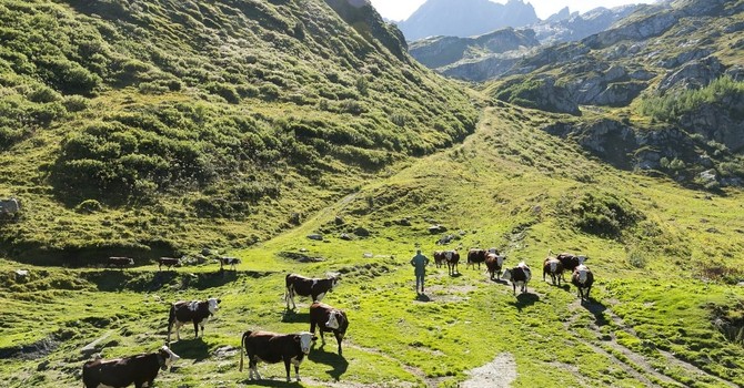 Montagna, l’estate 2026 promuove il turismo ma chiede più investimenti e servizi Montagna, l’estate 2026 promuove il turismo ma chiede più investimenti e servizi