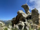 MONTAGNA VDA: COL DELLA MOLOGNA PICCOLA