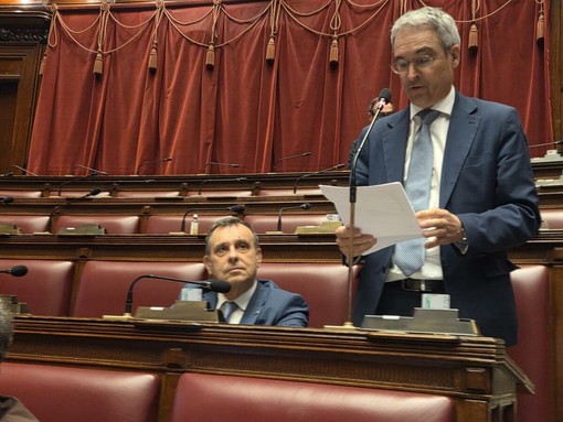 Franco Manes e Dieter Steger