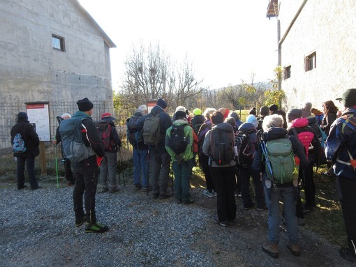 Cantiere della Statio ad Fines a Malano