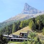 Mont Avic: la natura diventa arte. Due giornate tra pennelli, obiettivi e paesaggi da proteggere