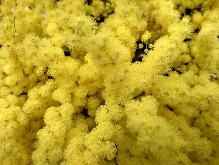 Verso l’8 marzo: ad Aosta le voci delle donne migranti tra coraggio e integrazione