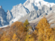 Il fascino dell'autunno in VDA tra vendemmie anticipate, Désarpie e il Tor des Géants Il fascino dell'autunno in VDA tra vendemmie anticipate, Désarpie e il Tor des Géants
