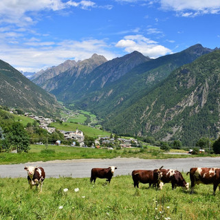 La regione più risparmiosa nel consumo di suolo è la Valle d'Aosta