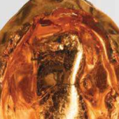 Aperture e visite guidate in occasione delle Festività natalizie delle mostre "Chicco Margaroli"