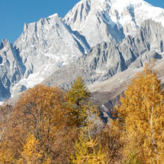 Il fascino dell'autunno in VDA tra vendemmie anticipate, Désarpie e il Tor des Géants