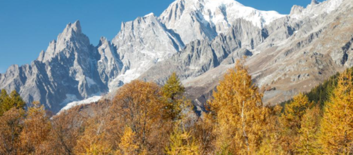 Il fascino dell'autunno in VDA tra vendemmie anticipate, Désarpie e il Tor des Géants Il fascino dell'autunno in VDA tra vendemmie anticipate, Désarpie e il Tor des Géants