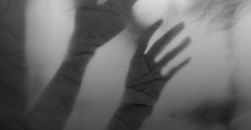 Immagine tratta da Ticino7 anno 2022