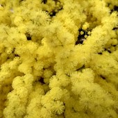 Verso l’8 marzo: ad Aosta le voci delle donne migranti tra coraggio e integrazione Verso l’8 marzo: ad Aosta le voci delle donne migranti tra coraggio e integrazione