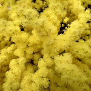 Verso l’8 marzo: ad Aosta le voci delle donne migranti tra coraggio e integrazione