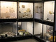 Il Museo regionale di Scienze naturali Efisio Noussan riapre al pubblico   