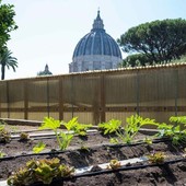 L’orto del Papa, nei Giardini Vaticani, diventa al 100% biologico L’orto del Papa, nei Giardini Vaticani, diventa al 100% biologico