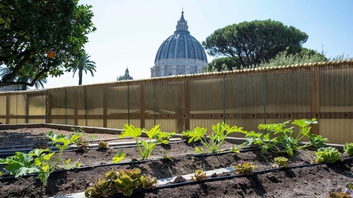 L’orto del Papa, nei Giardini Vaticani, diventa al 100% biologico L’orto del Papa, nei Giardini Vaticani, diventa al 100% biologico