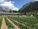 Quale futuro per il biologico in Valle d’Aosta?