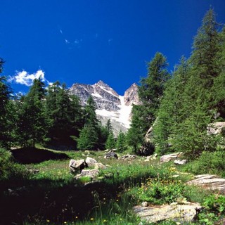 Cogne, il cinema scalda l'inverno: torna il "Gran Paradiso Film Festival Winter Preview"