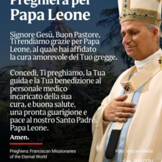 Papa Leone XIV ha chiesto di accompagnarlo con la preghiera Papa Leone XIV ha chiesto di accompagnarlo con la preghiera