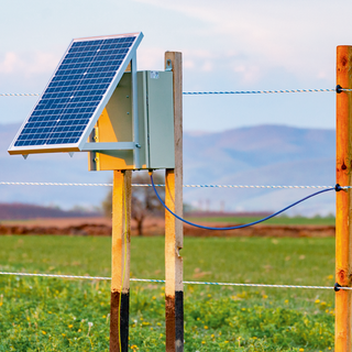 Recinti elettrici, scelta in crescita nelle campagne italiane: cosa sapere prima di installarne uno