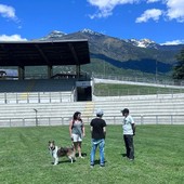 Un cane non è un gioco: responsabilità, non improvvisazione