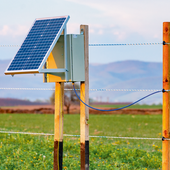 Recinti elettrici, scelta in crescita nelle campagne italiane: cosa sapere prima di installarne uno