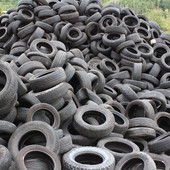 Raccolti e avviati a recupero 135mila kg di PFU grazie a EcoTyre e Legambiente con Puliamo il Mondo 2025