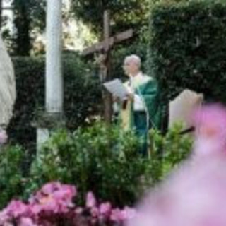 Il Papa ai dottori agronomi e forestali: “Custodire la terra è un atto di amore”