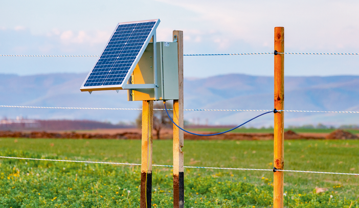 Recinti elettrici, scelta in crescita nelle campagne italiane: cosa sapere prima di installarne uno
