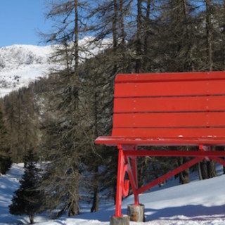 &quot;25 novembre: il Consiglio celebra la Giornata contro la violenza sulle donne