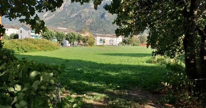 L'area verde che vogliono cementificare