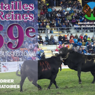 Batailles de Reines, la primavera della tradizione che guarda al futuro