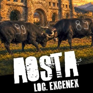 A Excenex tornano le “Regine”: 110 bovine aprono la sfida autunnale