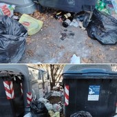 La foto è una delle tante che compaiono da mesi sui vari gruppi di FB questa e stata scattata a Derby La Salle ma ne potete trovare a decine in tantissimi comuni