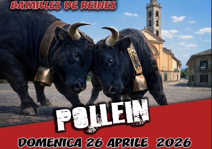 Batailles de Reines: 220 bovine in lizza per l’ultimo trono di primavera