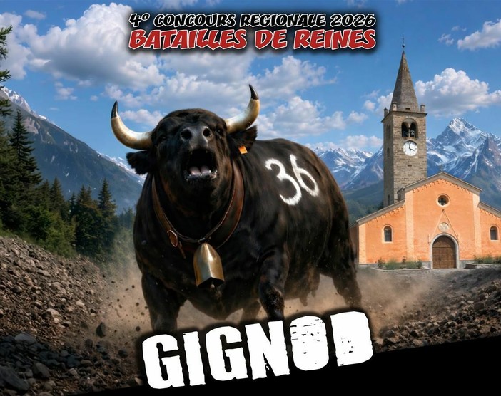 Batailles de Reines, a Gignod la quarta eliminatoria di primavera: 148 bovine pronte a sfidarsi