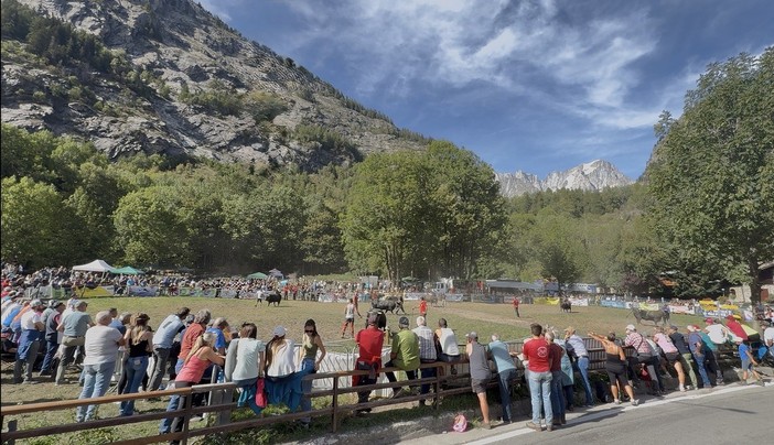 Ian Sei, Coquine e Merlitta: Courmayeur incorona le sue Reines Ian Sei, Coquine e Merlitta: Courmayeur incorona le sue Reines