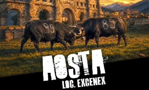 A Excenex tornano le “Regine”: 110 bovine aprono la sfida autunnale
