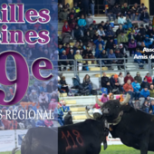 Novantacinque reines ai piedi del Cervino: a Breuil Cervinia la sfida che vale la finale regionale Novantacinque reines ai piedi del Cervino: a Breuil Cervinia la sfida che vale la finale regionale