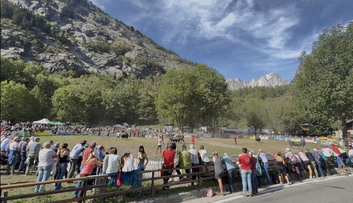 Ian Sei, Coquine e Merlitta: Courmayeur incorona le sue Reines Ian Sei, Coquine e Merlitta: Courmayeur incorona le sue Reines