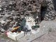 Rifiuti davanti alla Torre del Lebbroso: la rabbia dei cittadini contro il degrado nel cuore di Aosta sì bella e perduta Rifiuti davanti alla Torre del Lebbroso: la rabbia dei cittadini contro il degrado nel cuore di Aosta sì bella e perduta