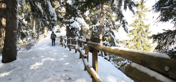 L'inverno è arrivato: freddo, neve e cieli cristallini