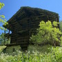 MONTAGNA VDA: Nel mondo Walser
