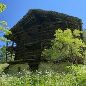 MONTAGNA VDA: Nel mondo Walser