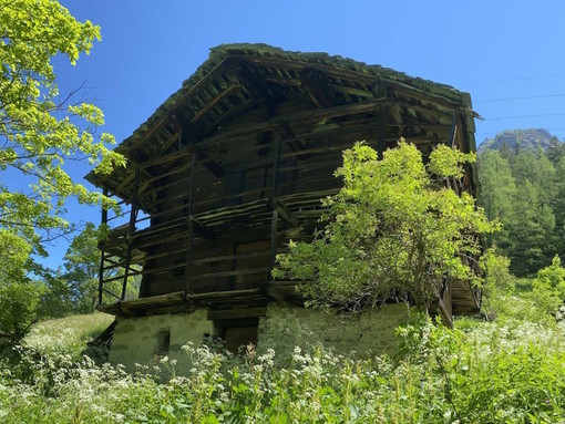 MONTAGNA VDA: Nel mondo Walser